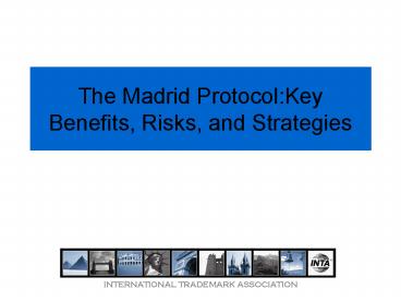 The Madrid Protocol:Key Benefits, Risks, and Strategies