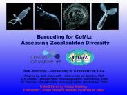 Rob Jennings University of Connecticut, USA