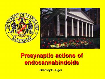 Presynaptic actions of endocannabindoids