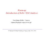 Warmup Introduction of Belle CKM Analyses