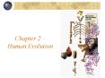 Chapter 2 Human Evolution PowerPoint PPT Presentation