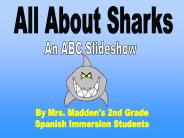 All About Sharks