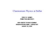 Charmonium Physics at BaBar