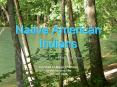 Native American Indians PowerPoint PPT Presentation