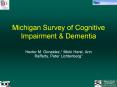 Michigan Survey of Cognitive Impairment PowerPoint PPT Presentation