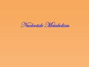 Nucleotide Metabolism