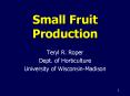 Small Fruit Production PowerPoint PPT Presentation