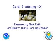 Coral Bleaching 101