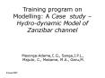 Training program on Modelling: A Case study  PowerPoint PPT Presentation