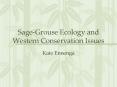SageGrouse Ecology and Western Conservation Issues PowerPoint PPT Presentation