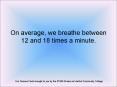 On average, we breathe between 12 and 18 times a minute. PowerPoint PPT Presentation