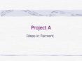 Project A PowerPoint PPT Presentation