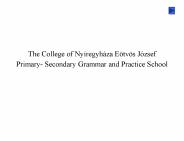 The College of Ny