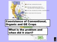 ANTIGMO ORDINANCES PASSED