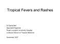 Tropical Fevers and Rashes PowerPoint PPT Presentation