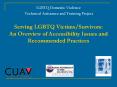 LGBTQ Domestic Violence Technical Assistance and Training Project Serving LGBTQ VictimsSurvivors: An PowerPoint PPT Presentation