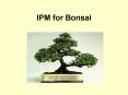 IPM for Bonsai PowerPoint PPT Presentation