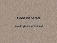 Seed%20dispersal