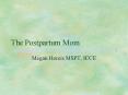 The Postpartum Mom PowerPoint PPT Presentation