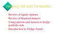 Hedging risk with Derivatives PowerPoint PPT Presentation