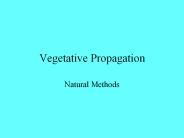 Vegetative Propagation