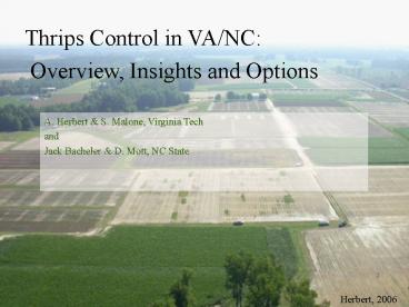 Thrips Control in VANC