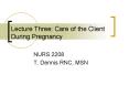 Lecture Three: Care of the Client During Pregnancy PowerPoint PPT Presentation