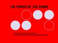 The Power of the Purse PowerPoint PPT Presentation