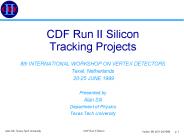 CDF Run II Silicon