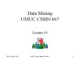 Data Mining UMUC CSMN 667 PowerPoint PPT Presentation
