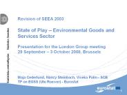 Revision of SEEA 2003 State of Play 