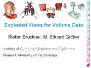 Exploded Views for Volume Data