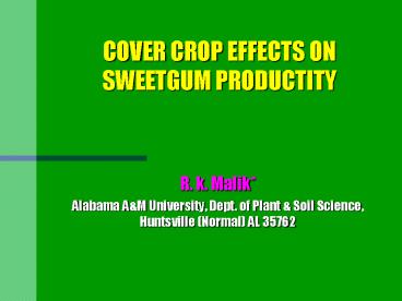 COVER CROP EFFECTS ON SWEETGUM PRODUCTITY