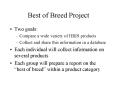 Best of Breed Project PowerPoint PPT Presentation