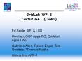 GridLab WP2 Cactus GAT CGAT PowerPoint PPT Presentation