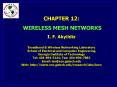 Wireless Mesh Networks PowerPoint PPT Presentation