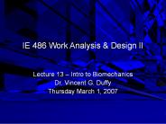 IE 486 Work Analysis