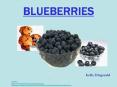 BLUEBERRIES PowerPoint PPT Presentation