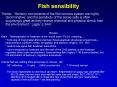 Fish sensibility PowerPoint PPT Presentation