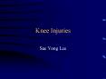 Knee Injuries PowerPoint PPT Presentation