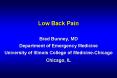 Low Back Pain Brad Bunney, MD Department of Emergency Medicine University of Illinois College of Med PowerPoint PPT Presentation