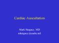 Cardiac Auscultation PowerPoint PPT Presentation