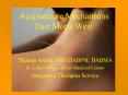 Acupuncture Mechanisms East Meets West PowerPoint PPT Presentation