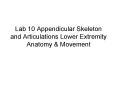 Lab 10 Appendicular Skeleton and Articulations Lower Extremity Anatomy PowerPoint PPT Presentation