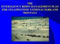 THE INTERAGENCY BISON MANAGEMENT PLAN FOR YELLOWSTONE NATIONAL PARK AND MONTANA PowerPoint PPT Presentation
