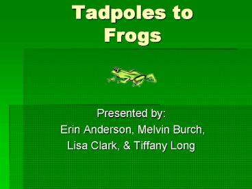 Tadpoles to Frogs
