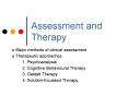 Assessment and Therapy PowerPoint PPT Presentation