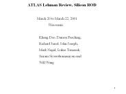 ATLAS Lehman Review, Silicon ROD