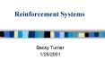 Reinforcement Systems PowerPoint PPT Presentation