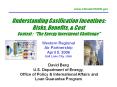 Understanding Gasification Incentives: Risks, Benefits, PowerPoint PPT Presentation